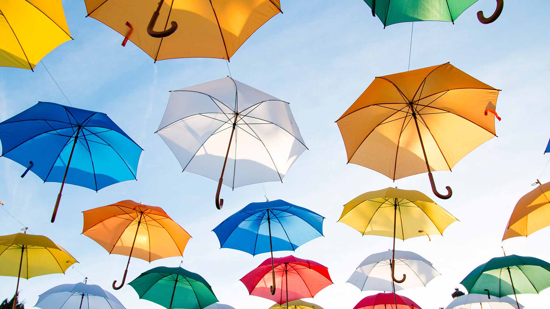 NDIS Provider Insurance: A collection of coloured umbrellas float up into the sky.